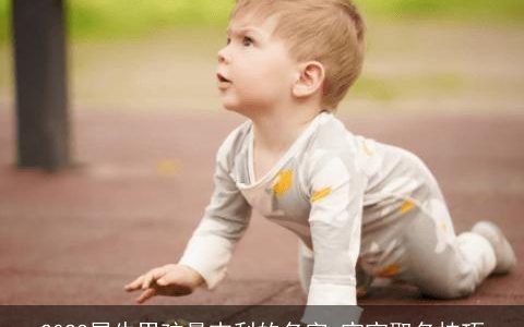 2023属牛男孩最吉利的名字 宝宝取名技巧