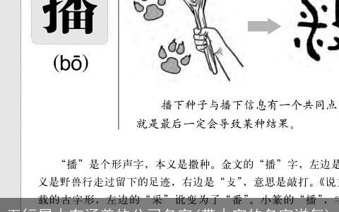 五行属木有涵养的公司名字(带木字的名字洋气)