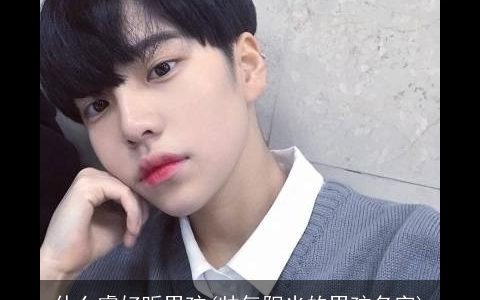 什么睿好听男孩(帅气阳光的男孩名字)