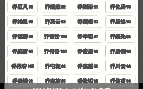 2023年好听的白姓男孩名字