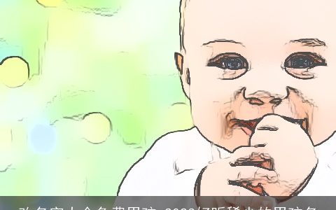 改名字大全免费男孩 2023好听稀少的男孩名