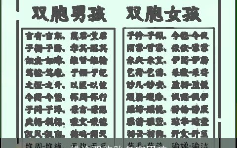 姓涂双胞胎名字男孩