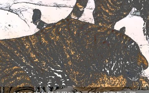 2024壬寅年属虎男孩有福气的名字怎么取