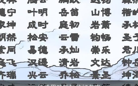 姓盛男孩敏锐的好名字