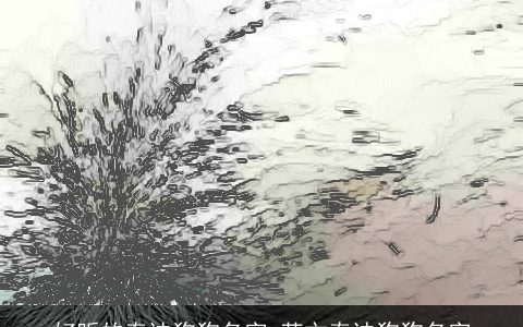 好听的泰迪狗狗名字 英文泰迪狗狗名字