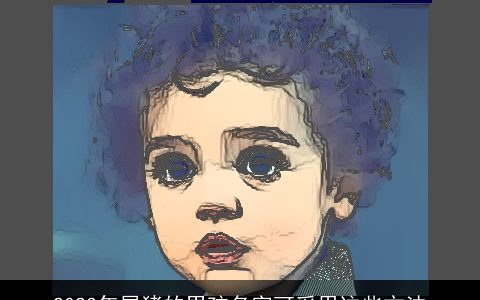 2023年属猪的男孩名字可采用这些方法