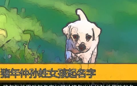 猪年孙姓男孩起名字如何给猪年出生的孙姓男孩起名