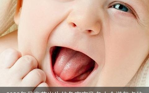 2023年母亲节出生的兔宝宝乳名大全洋气点的