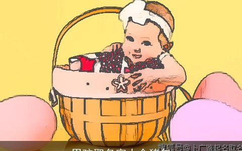 男孩取名字大全猪年