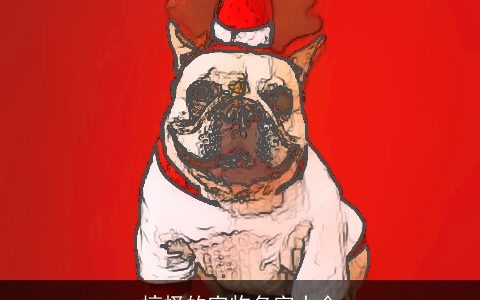 搞怪的宠物名字大全