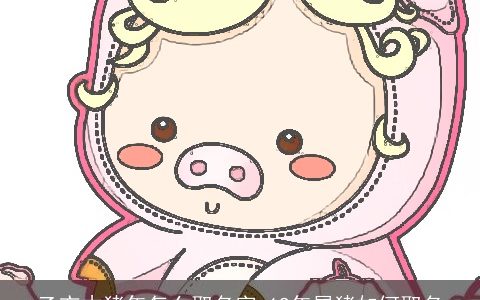 乙亥木猪年怎么取名字 19年属猪如何取名