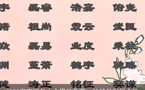 2024宝宝取名大全男孩免费  独特且彰显个性