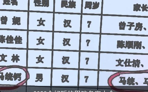 2024个好听的男孩名字大全