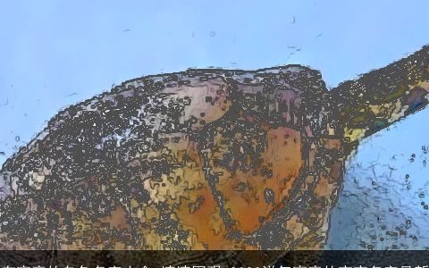 有寓意的乌龟名字大全 速速围观 2024洋气寓意的宝宝名字最新