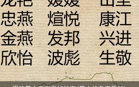 男孩带土字寓意好的字(带土的名字男孩)