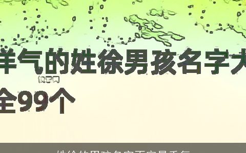 姓徐的男孩名字不容易重复