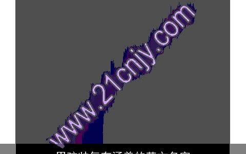 男孩帅气有涵养的英文名字