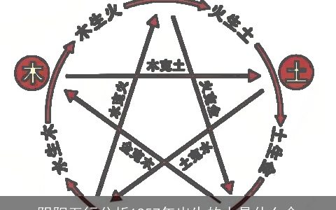 阴阳五行分析1957年出生的人是什么命