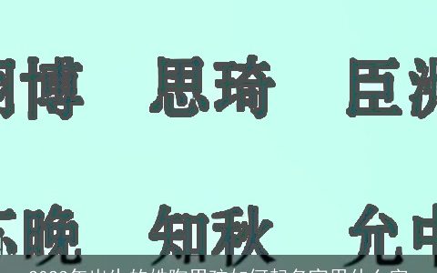 2023年出生的姓陶男孩如何起名宜用什么字