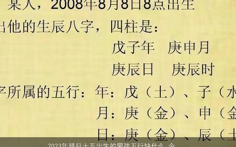 2023年腊月十五出生的男孩五行缺什么 今日八字取名大全 新颖有涵养的男孩八字名最新