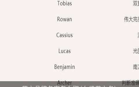 英文品牌名字怎么取(女装英文名)