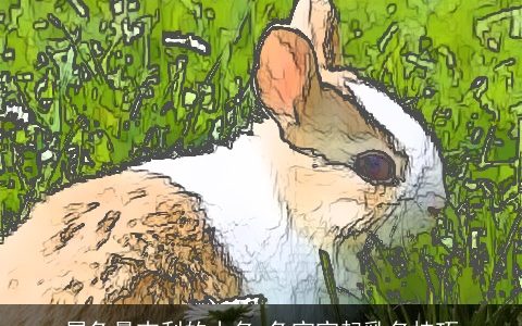 属兔最吉利的小名 兔宝宝起乳名技巧