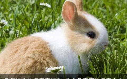 兔年适合的名字有哪些 适合兔宝宝的名字大全