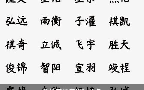 薛姓带佳字男孩儿名