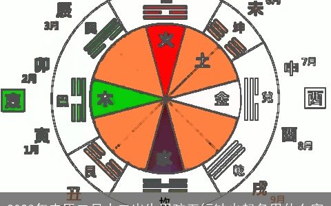 2023年农历二月十二出生男孩五行缺火起名用什么字