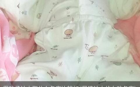 男孩子缺木取什么名字比较好(属猪缺木的女孩名字)