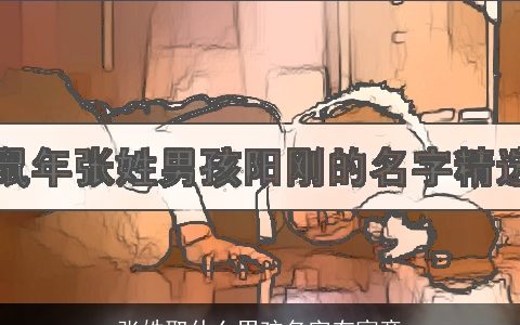 张姓取什么男孩名字有寓意