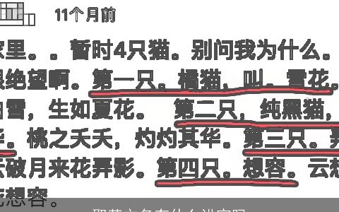 取英文名有什么讲究吗