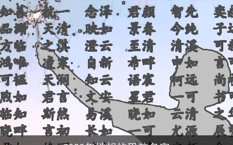 2023年姓胡的男孩名字