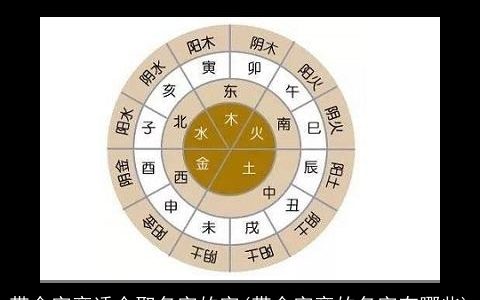 带金字旁适合取名字的字(带金字旁的名字有哪些)