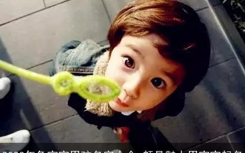 2024年龙宝宝男孩名字大全 颇具魅力男宝宝起名