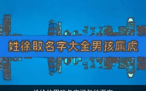 姓徐的男孩名字洋气的两字