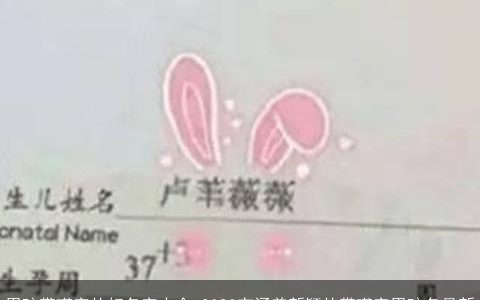 男孩带瑾字的好名字大全 2023有涵养新颖的带瑾字男孩名最新