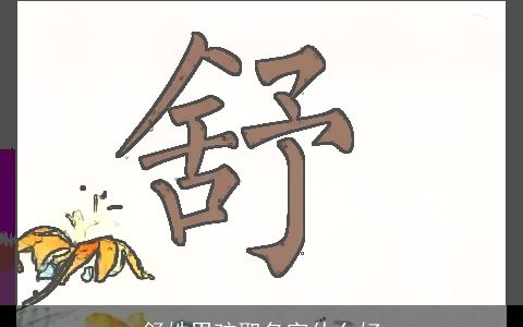 舒姓男孩取名字什么好