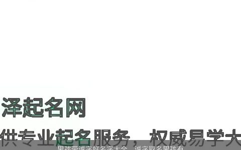 男孩带诚字好名字大全  诚字取名男孩有寓意 2024帅气寓意的带字男孩名最新