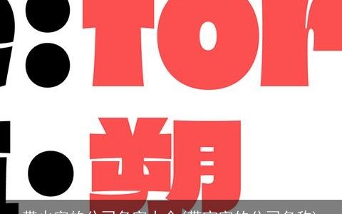 带火字的公司名字大全(带宝字的公司名称)