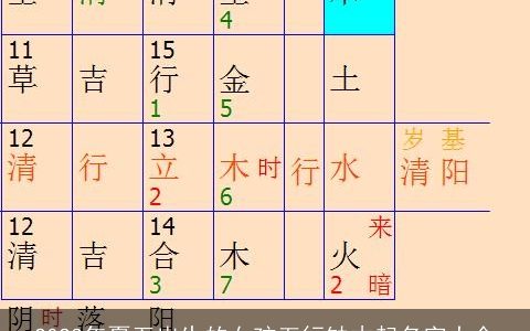 2023年夏至出生的女孩五行缺木起名字大全