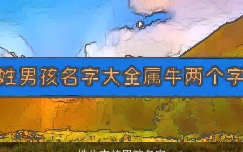 姓牛志的男孩名字