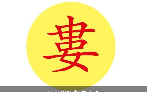 娄姓男孩起名大全