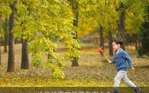 姓吴的男孩子取名字大全