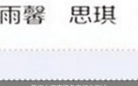 陈淑文宝宝取名字打分测试
