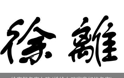 徐字起名字女孩(姓徐女孩寓意好的名字)