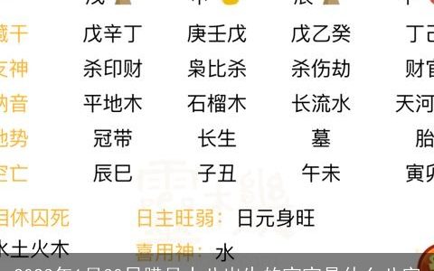 2023年1月30日腊月十八出生的宝宝是什么八字
