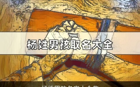 杨姓男孩名字大全集