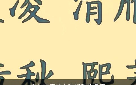 于姓岚字辈女孩好听的名字