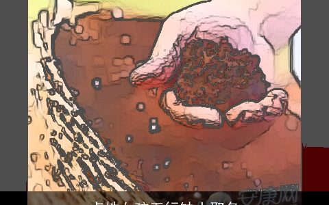 卢姓女孩五行缺土取名